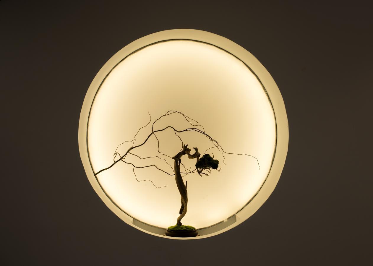 Zhangjiajie Yunxi Zen Hotel Eksteriør billede